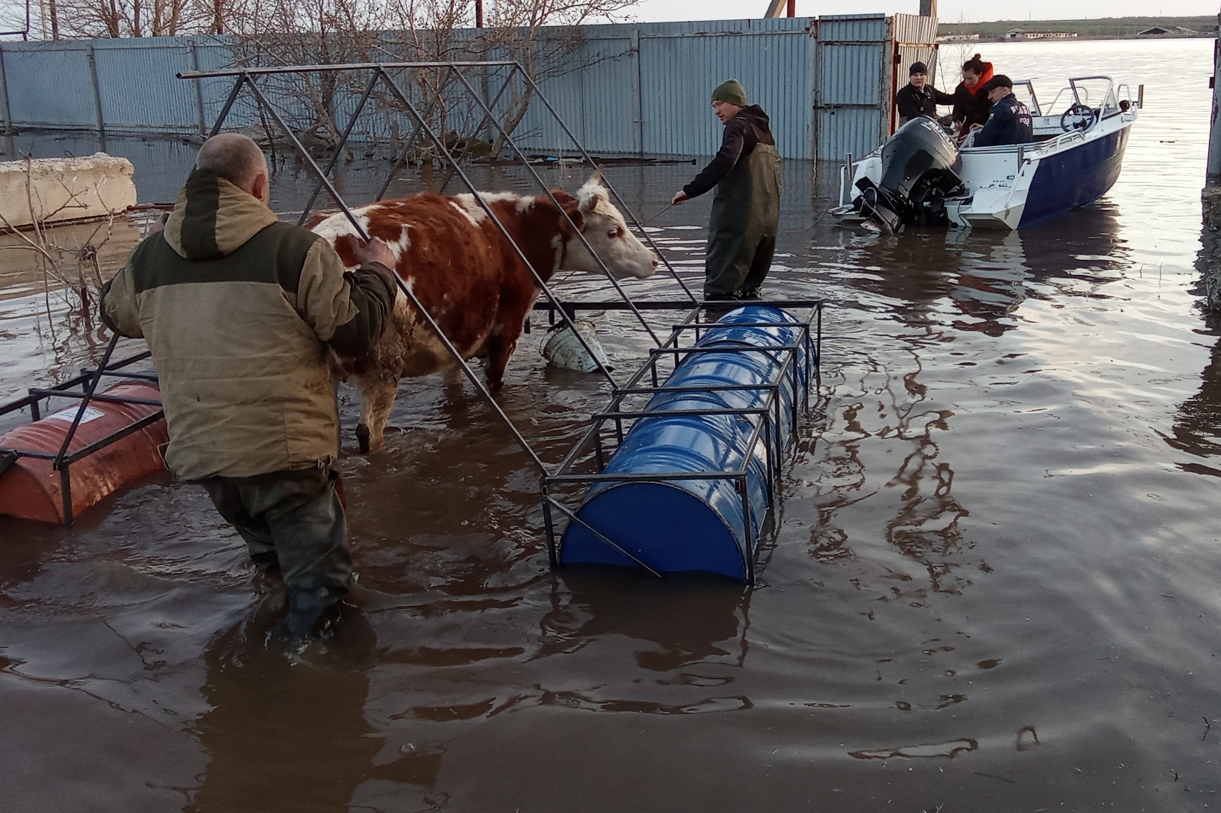 Команда «ФлагманВет» спасла домашний скот из подтопленного хозяйства 