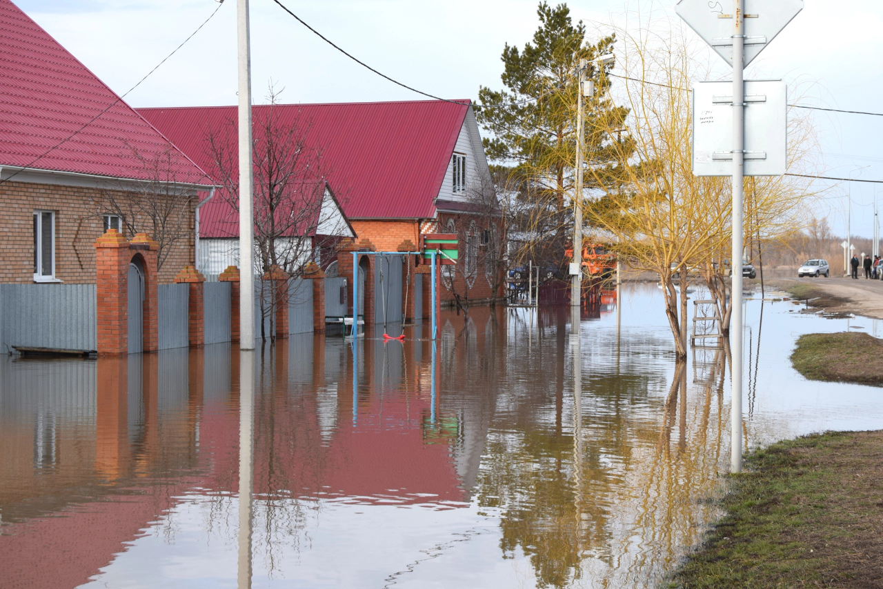 Вода била из-под земли 