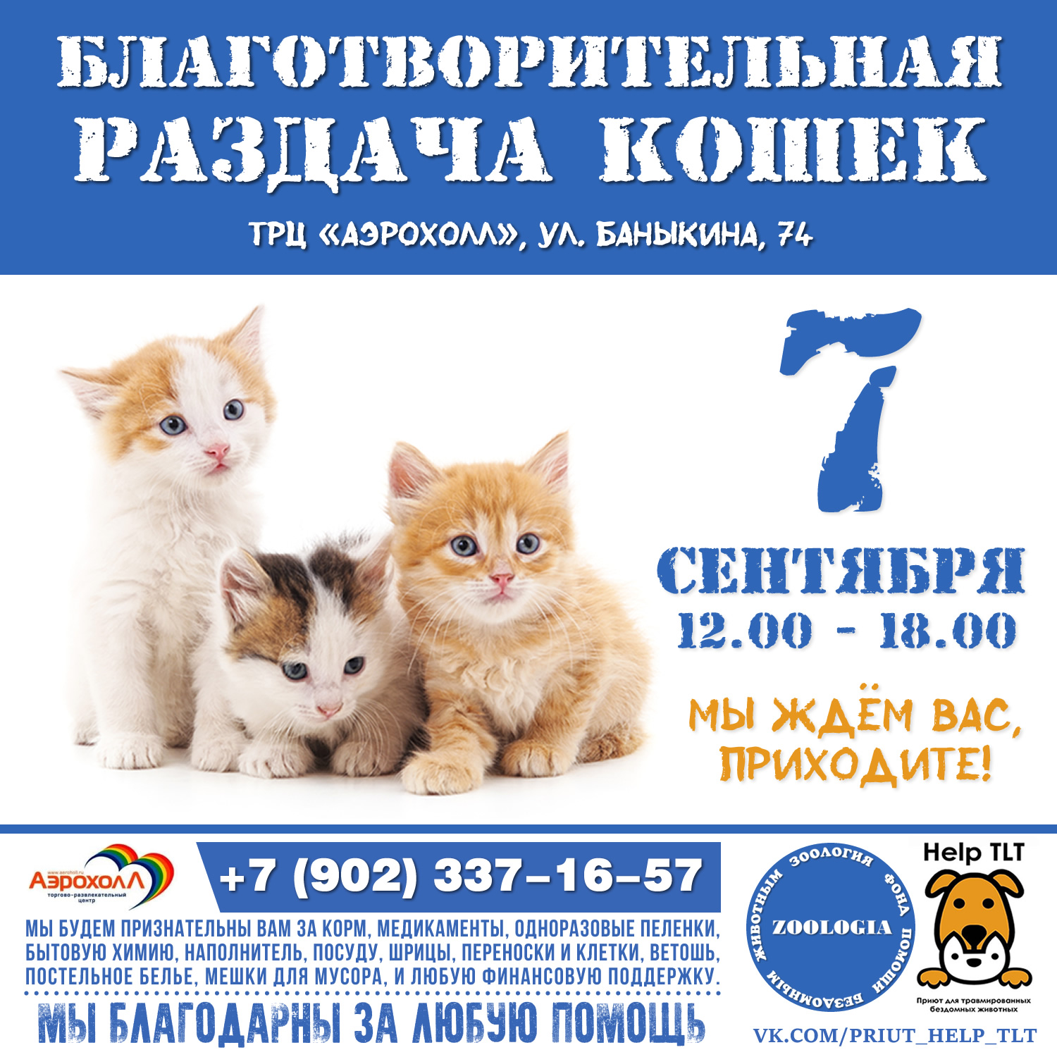 Кошки в добрые руки от приюта «HELP TLT»