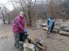 Нападение бездомных собак в Новокуйбышевске: СК инициировал проверку